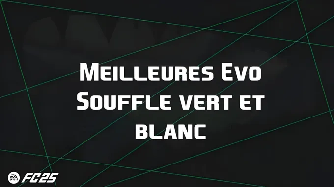 http://c2c.fp.guinfra.com/file/688d4f19a416e6f6d1627740ZtJrx64g03
