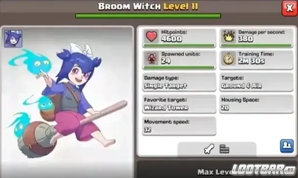 Broom witch