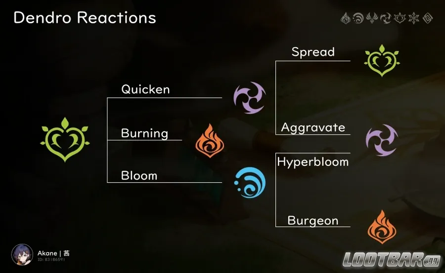 genshin impact- DENDRO REACTIONS