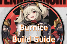 Burnice Build Guide