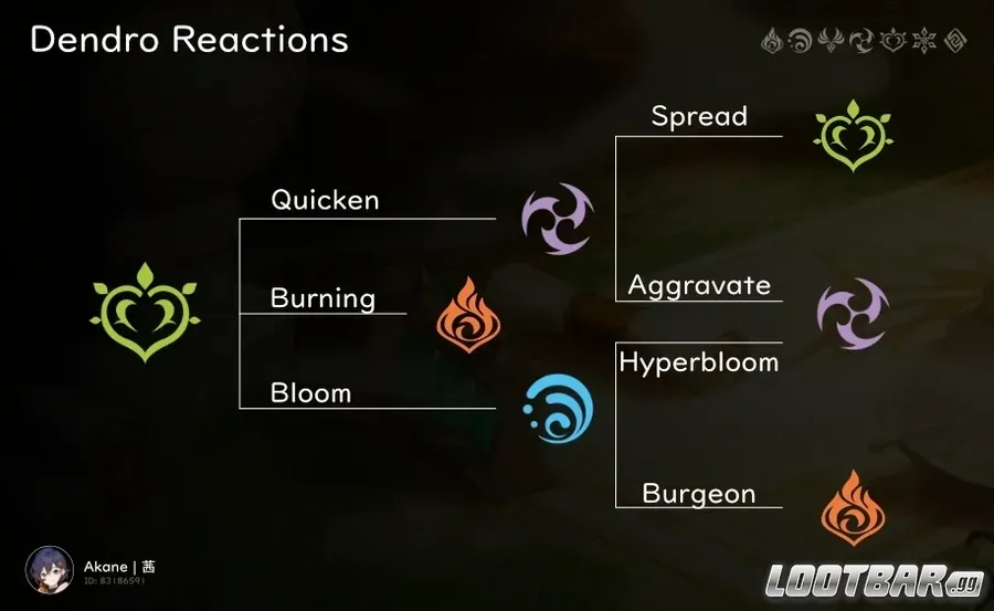 genshin impact- DENDRO REACTIONS