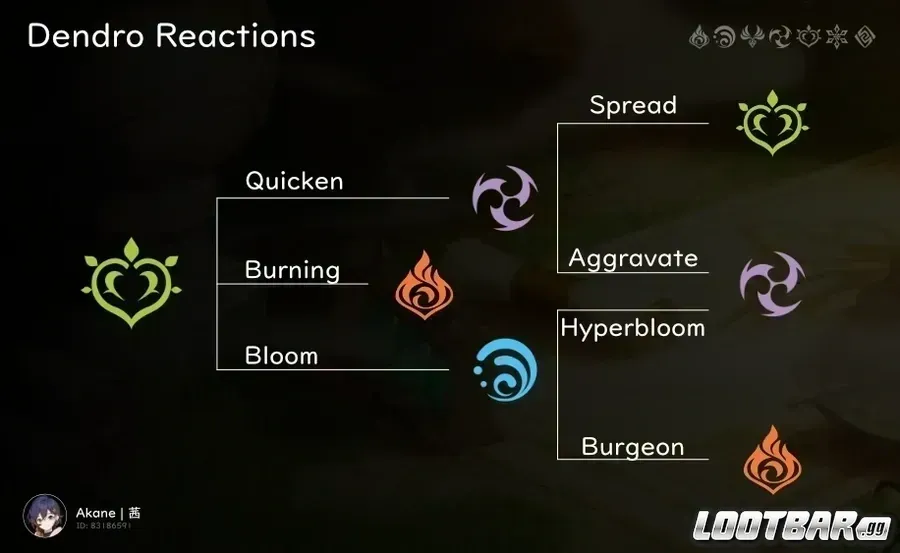 genshin impact- DENDRO REACTIONS