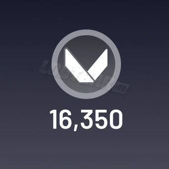 16350 Points