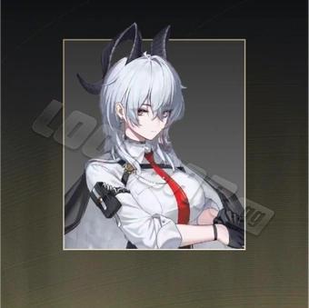 Zani Guarantee Bundle