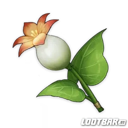 Calla Lily