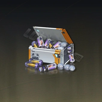 Sage's EXP Support