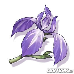 Bamboo Iris