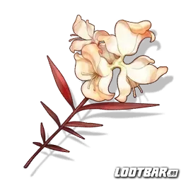 Bloodleaf Viburnum