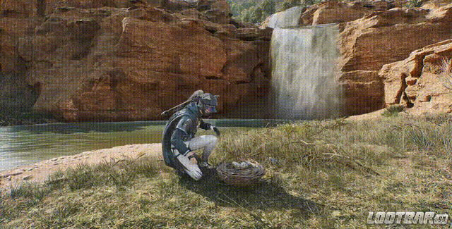 Action - Flying Bird Showcase
