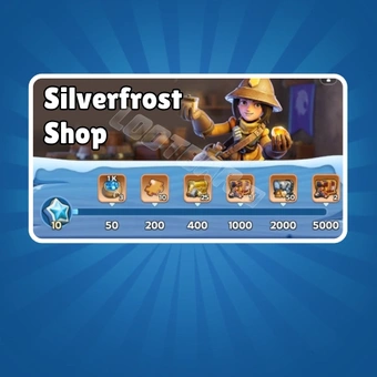 Silver Frost Shop - Silver Shell Packs All-In-One