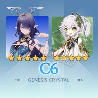 C6 Guaranteed Bundle