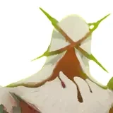 https://c2c.fp.guinfra.com/file/68eeddb56ace7e185fe48a5bjEBouU0b03