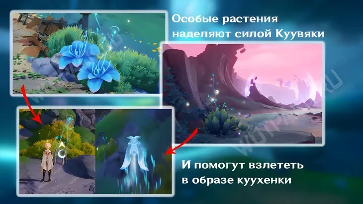 https://c2c.fp.guinfra.com/file/6a4847a8272d0569f9e86dbcdFSuhVXK03